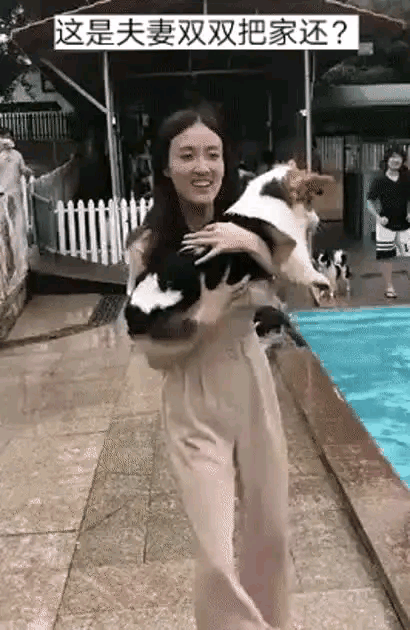 不好意思让狗子下水，自己也来陪陪它，太有爱心了