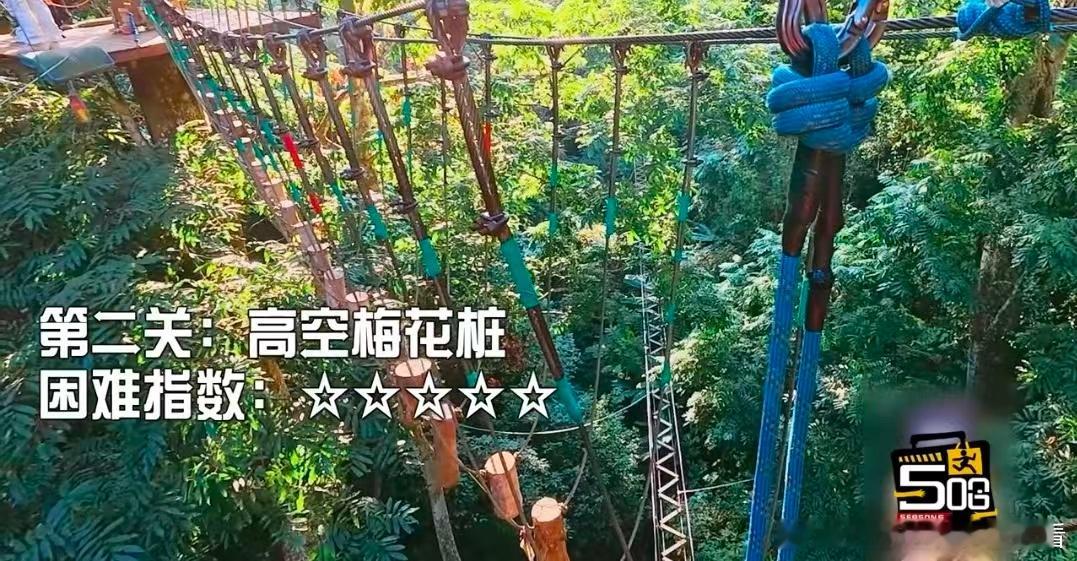 五哈给鹿晗上难度了哈哈哈哈哈恐高患者鹿晗被五哈安排得明明白白。听完项目介绍，他