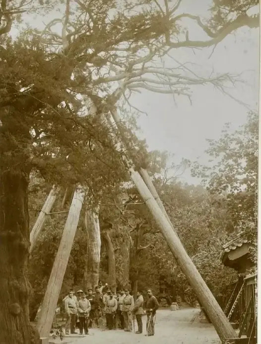1900年，八国联军侵占后的故宫
