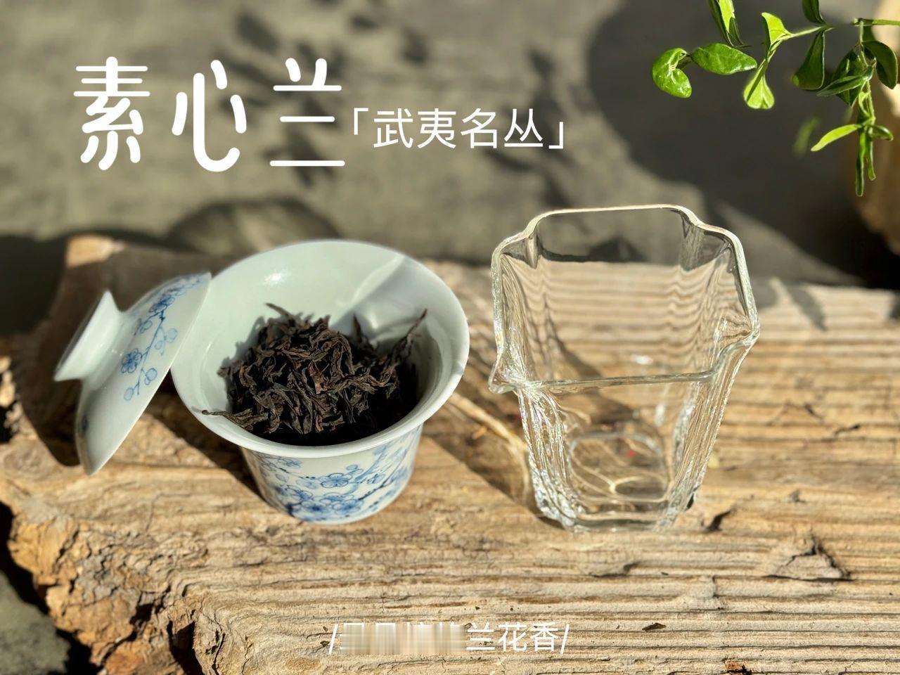 一个人在家喝茶，可以不用公道杯吗？独自在家喝茶，自然是怎么方便就怎么来，只要不