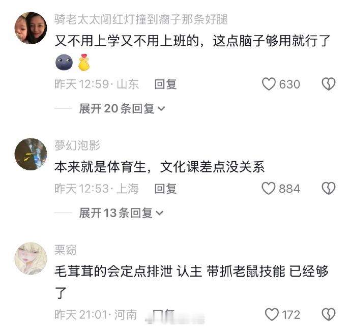 原来猫咪的大脑只有这么大😱