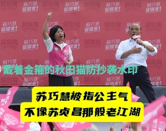 苏巧慧被指“放不开”！民调输给李四川，董智森一句话点破玄机，苏巧慧太公主气，没