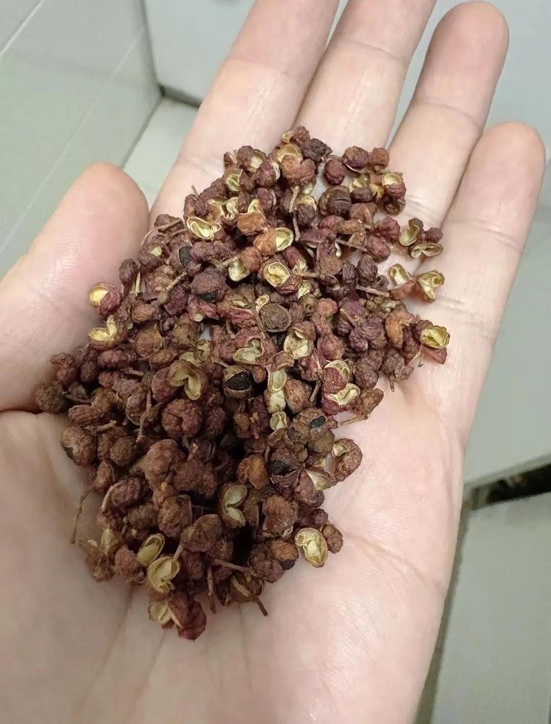 担心的事情还是发生了！湖北武汉，一女子去广东旅游回来就一直觉得身上“有湿气”，一