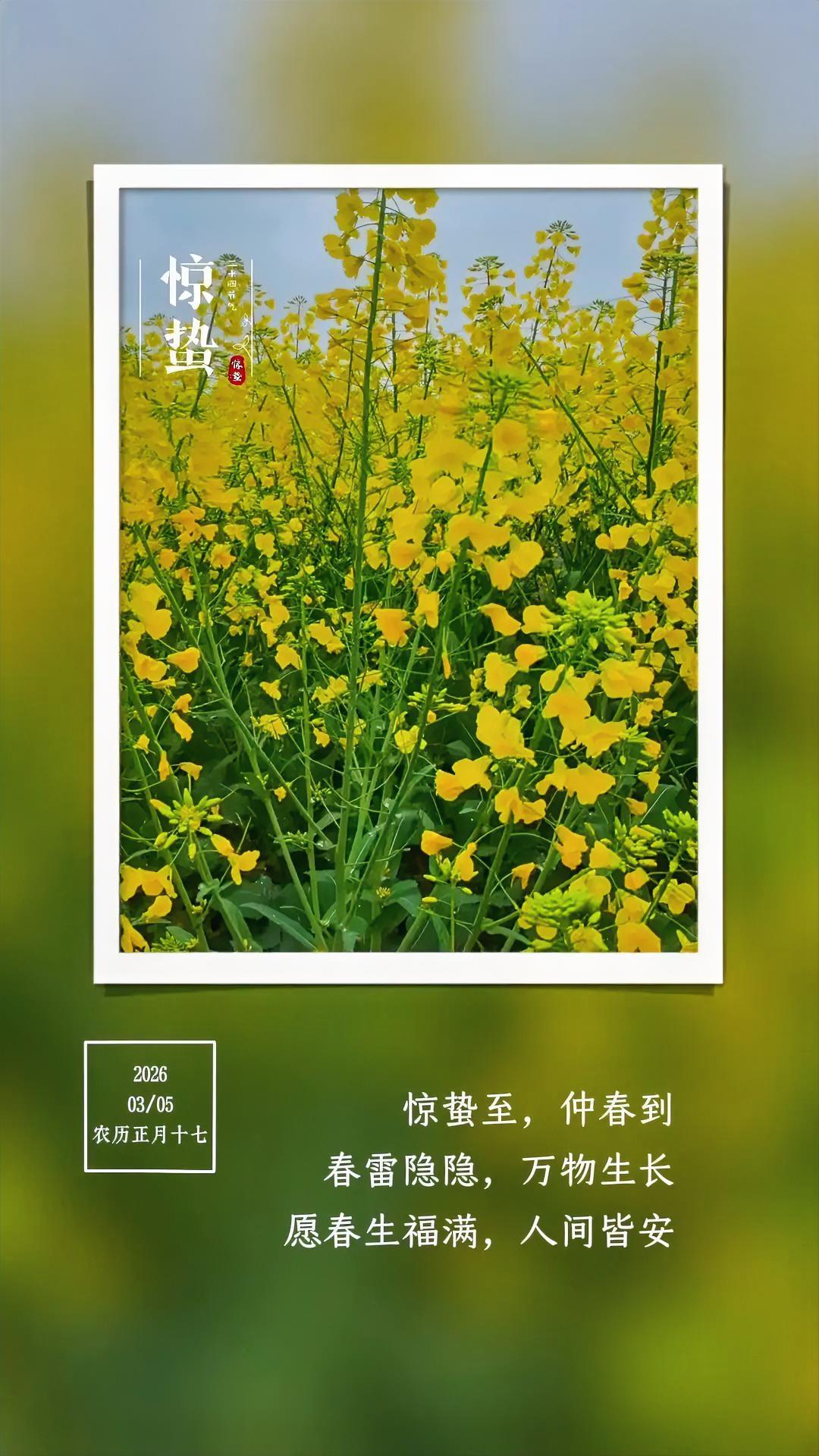 惊蛰，唤醒了春天，迎来了繁花似锦，让我们踏着春天的脚步，迎着春天的阳光，开启春天