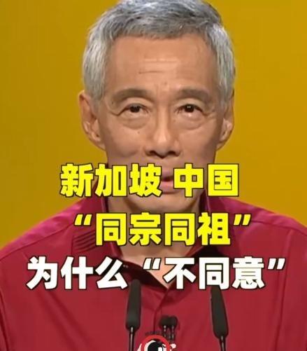 新加坡前总理李显龙在演讲中说，当新加坡和中国立场不同时，中国人会有疑惑，你们和中