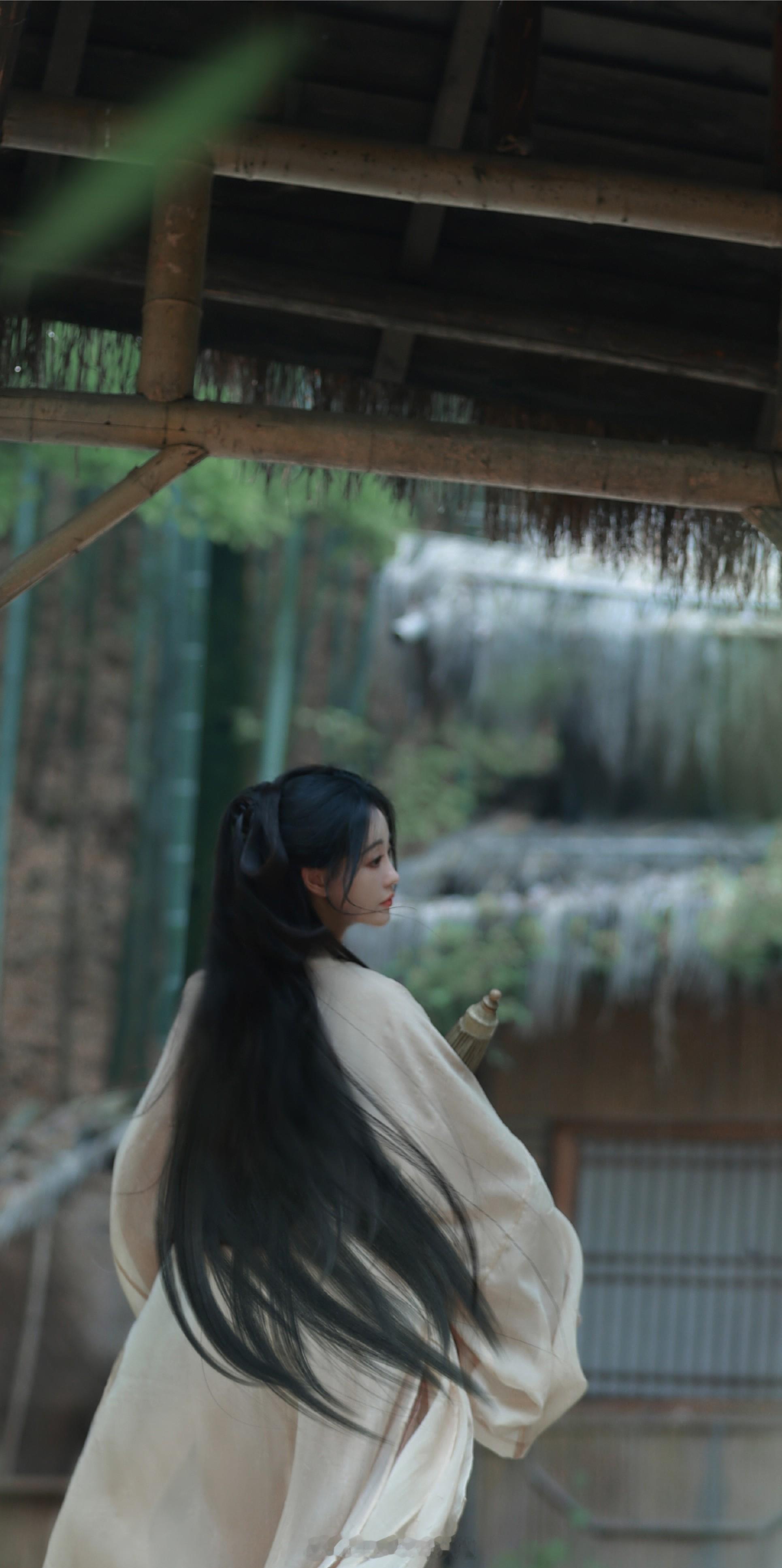 祝绪丹清冷感竹林写意大片