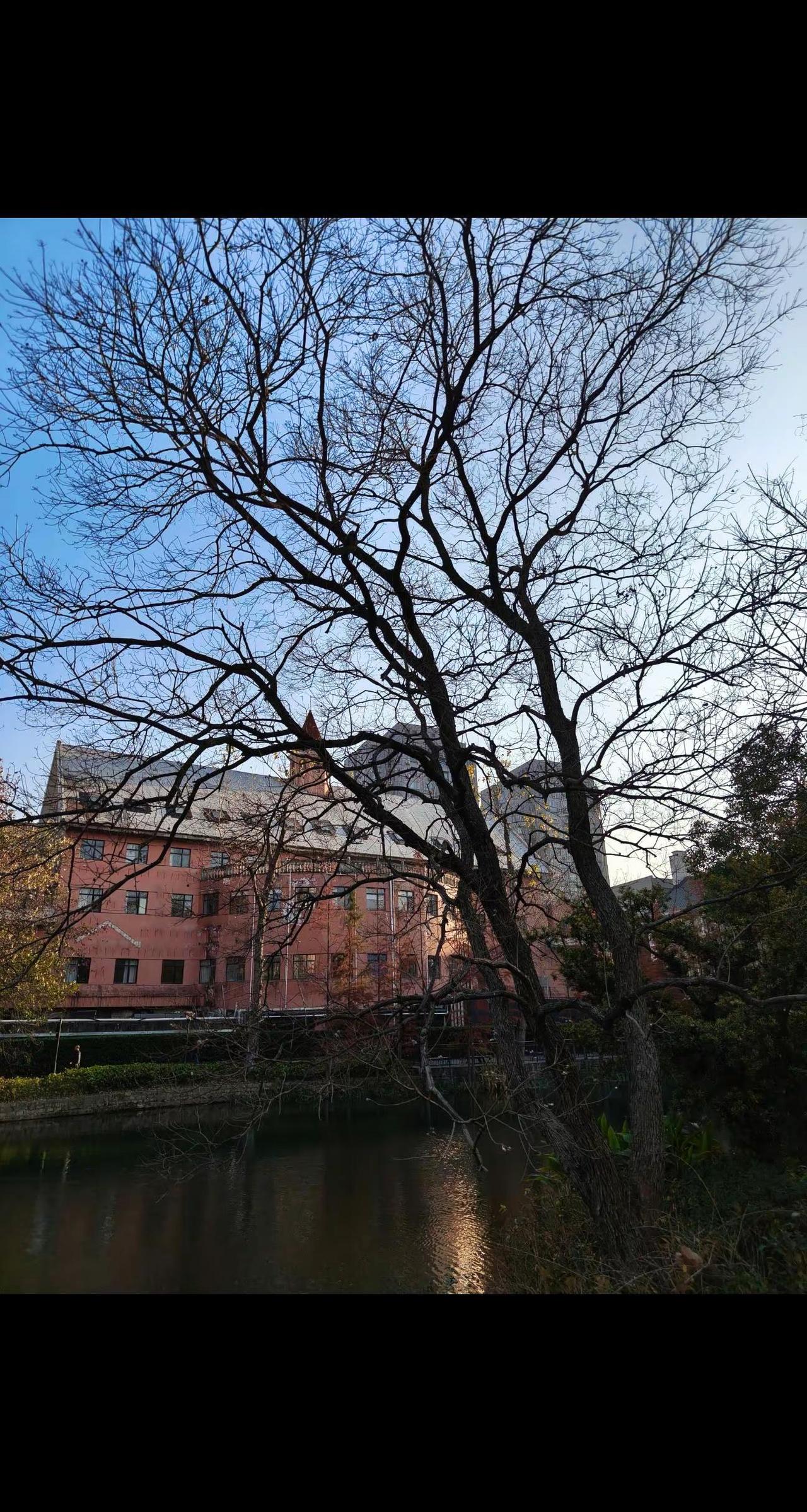 最美的风景在路上大自然的美丽风景