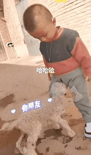 看来是真的饿了…[捂脸哭]