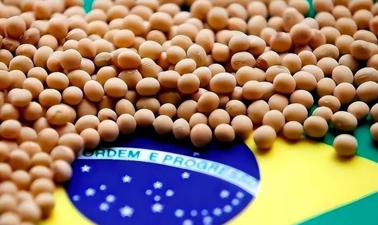 特朗普没想到，中国说不买就不买2026年刚到，美国就连吃了两记闷棍,第一记是