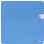 十二生肖好夫人排名公布啦！羊夫人超勤劳，家务一把好手。猪夫人特会持家，能力超棒。