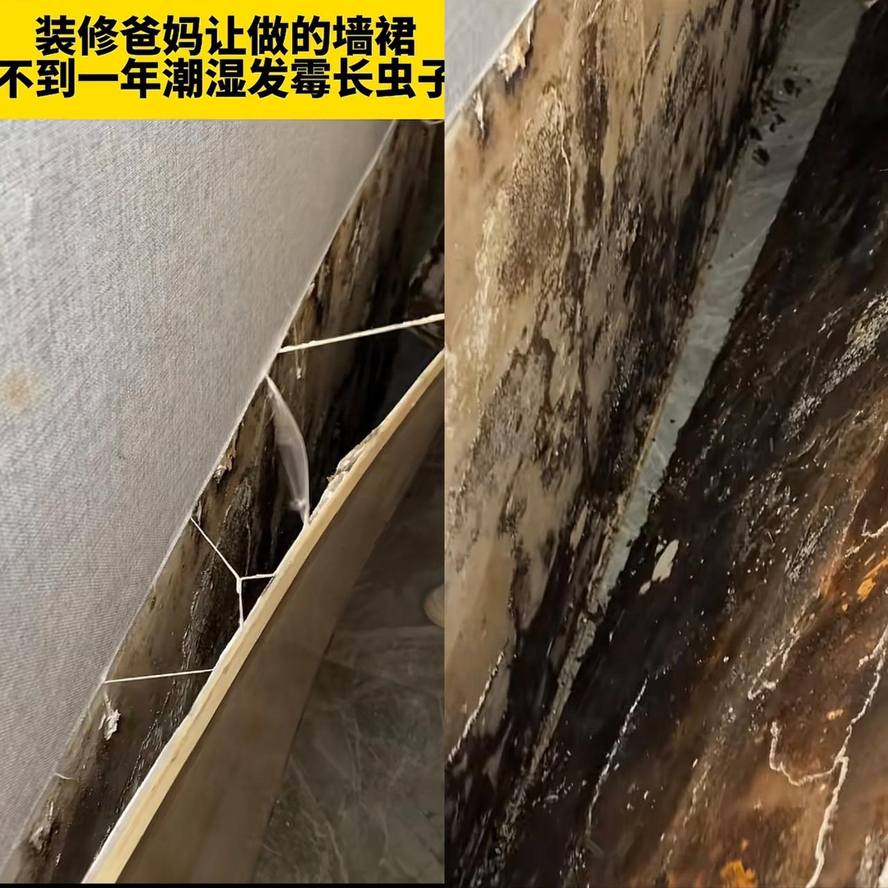 这是一个福建网友分享的视频，他爸妈花了30多万装修房子，不到一年时间护墙板拆开，
