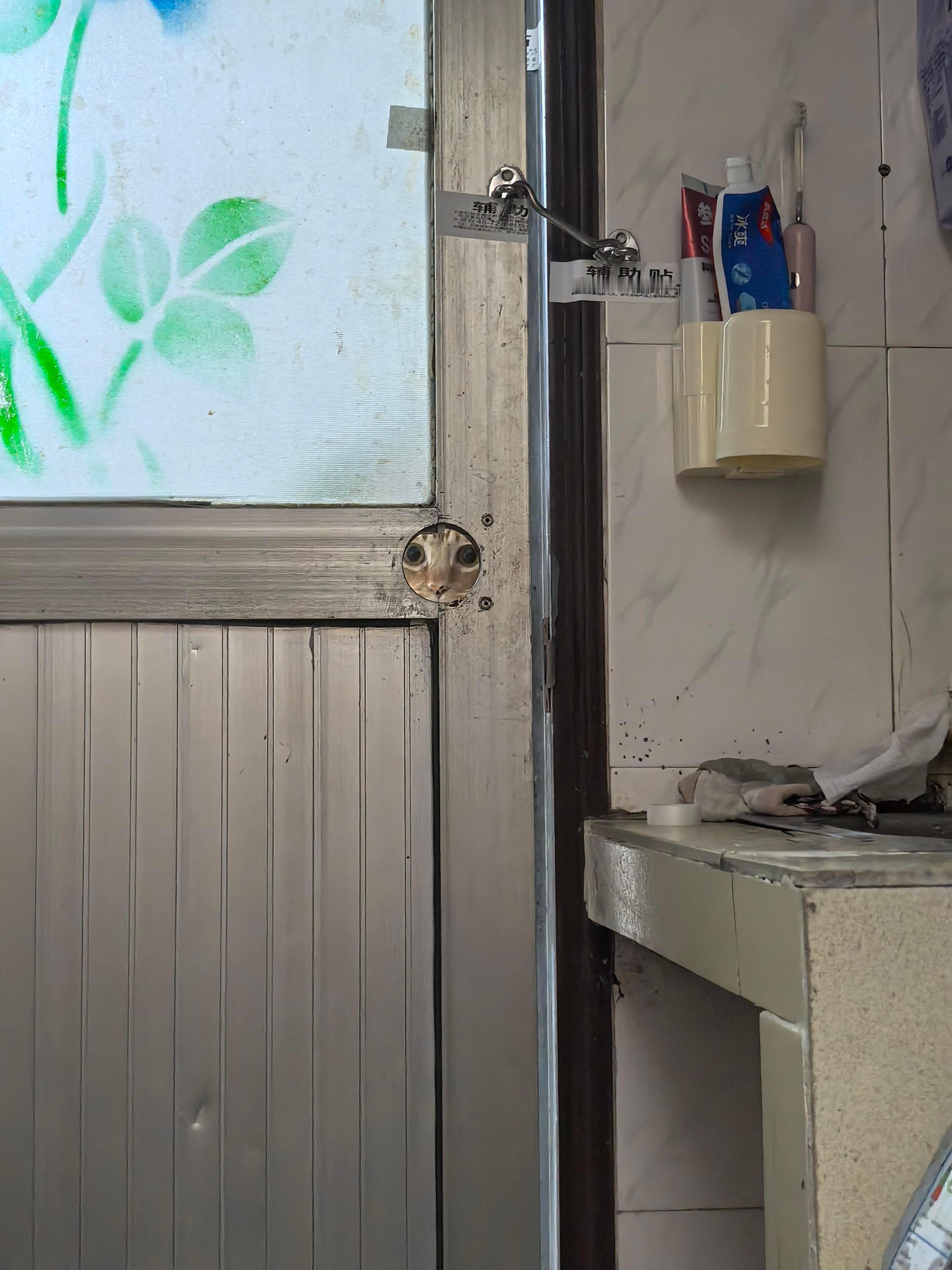 这才是真正的猫眼​​​