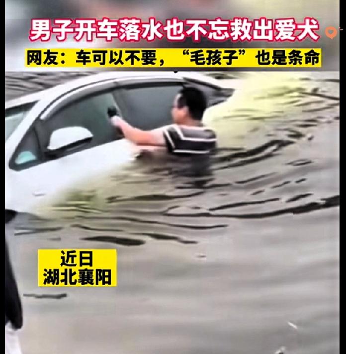 这才是刻在骨子里的爱啊！车子溜坡坠河的瞬间，男子的选择太戳心了！男子把车