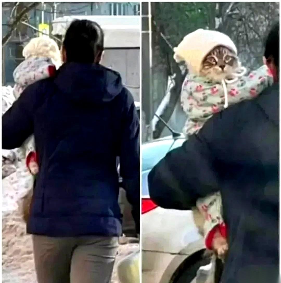 真的，隔着屏幕我都替它脚底板发凉。阿姨要去逛个街，怕自己的“心头肉”冻着，里外