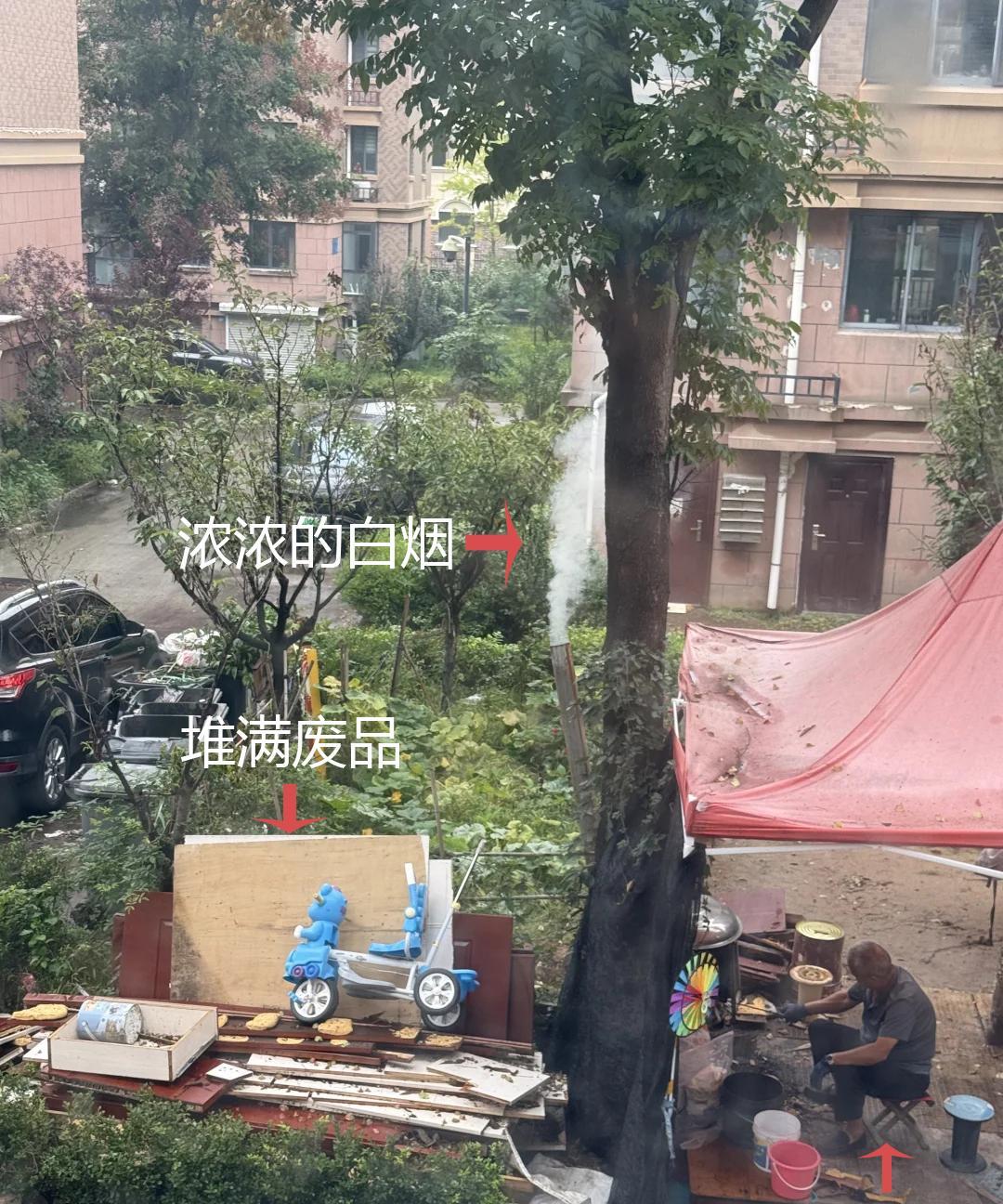 友友们，碰到这种情况该怎么办？在同事居住的小区里，有一位老人长期占用绿化带，不