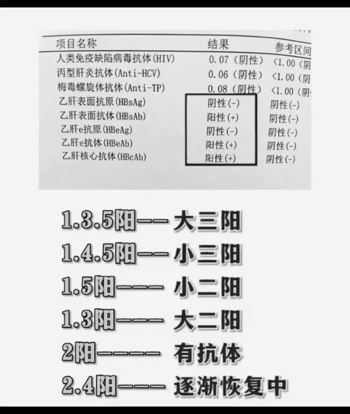 肝功能全部解析。1.3.5阳--大三阳。1.4.5阳--小三阳。1.3阳---