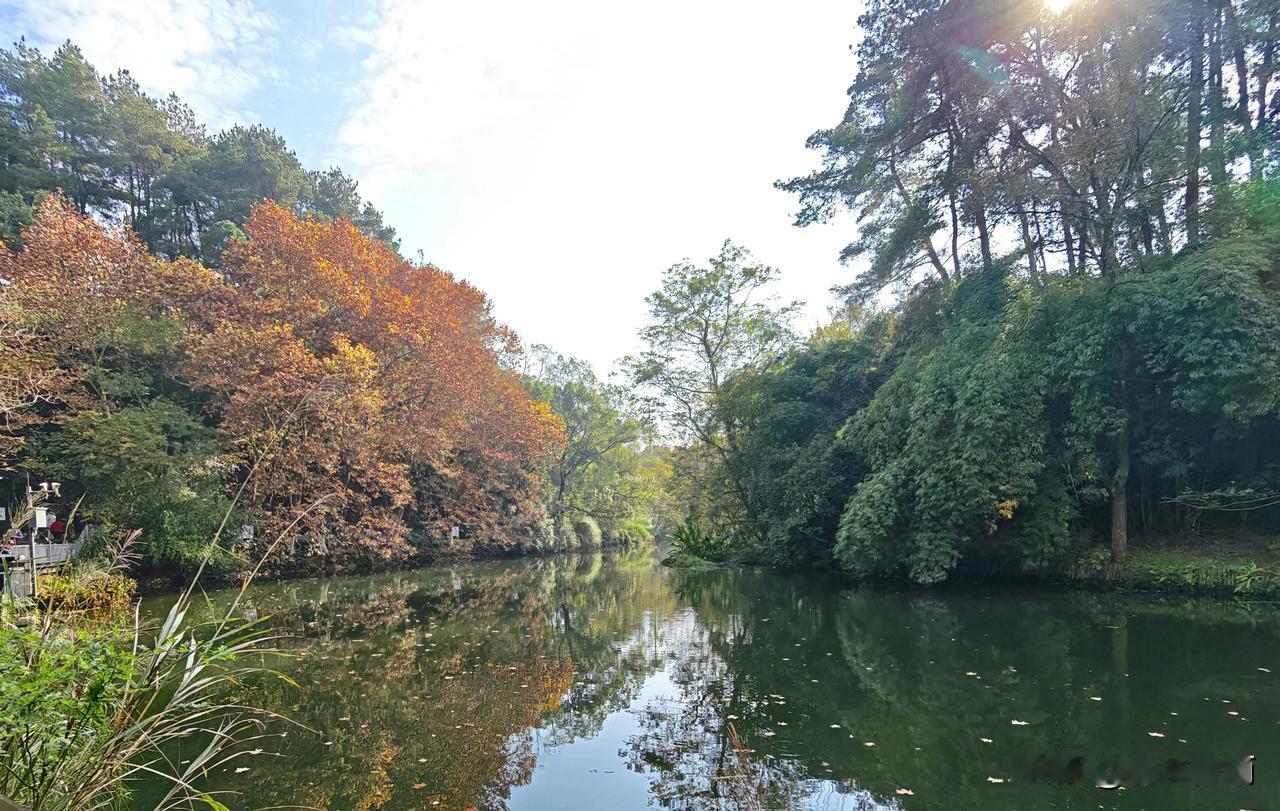 试验一下我新买的“影像机皇”，荣耀Magic8Pro手机拍照的效果如何？试用一下