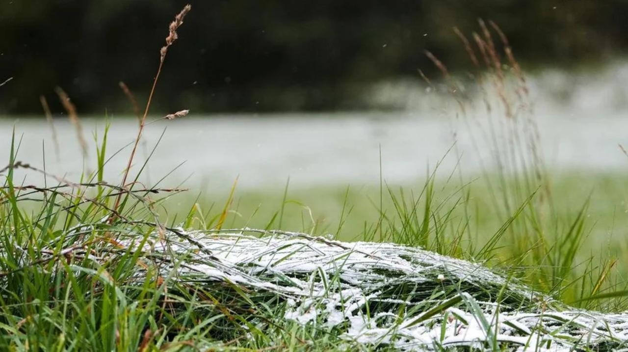 俄罗斯迎来今冬首场雪 莫斯科，9月3日——俄新社俄罗斯今年第一场雪已落