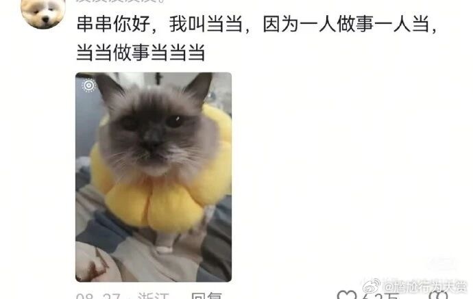 一人做事一人当当当做事当当当宠物卖萌中心​​​