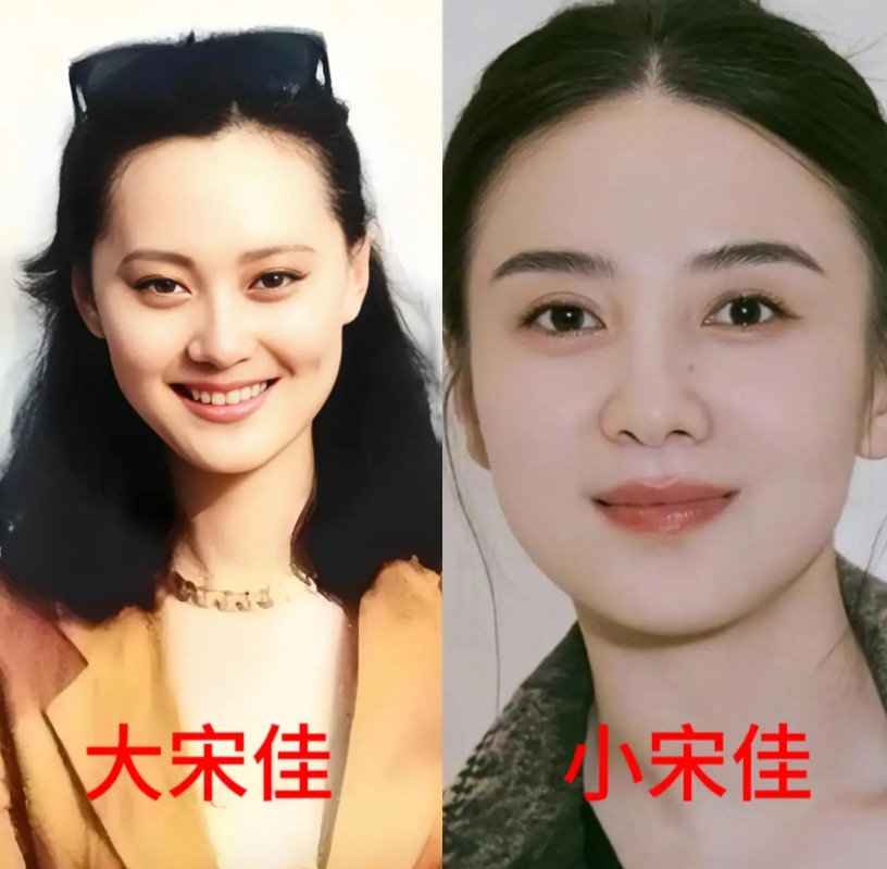左边是大宋佳，1962年出生于山东青岛，身高171右边是小宋佳，1980年生于