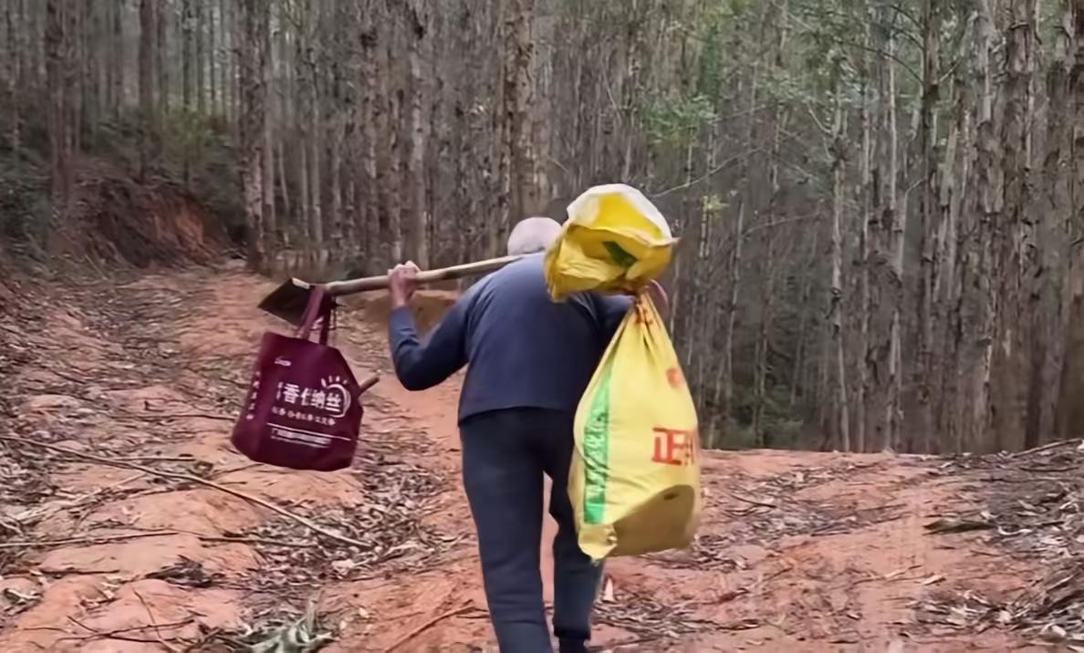 老人今年90岁，膝下无儿无女！每年的清明节，他都会一如既往的去给自己的父辈，祖辈