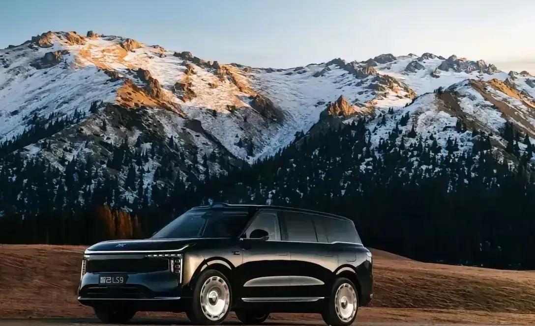 这就是伤害性不大，侮辱性极强！当14亿国人都以为国内新能源大型SUV已被比亚迪、