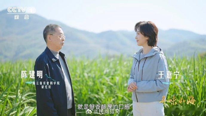 茭白居然和大米是亲戚茭白的逆袭之路太特别，本是和大米同属禾本科的菰、古时的六谷