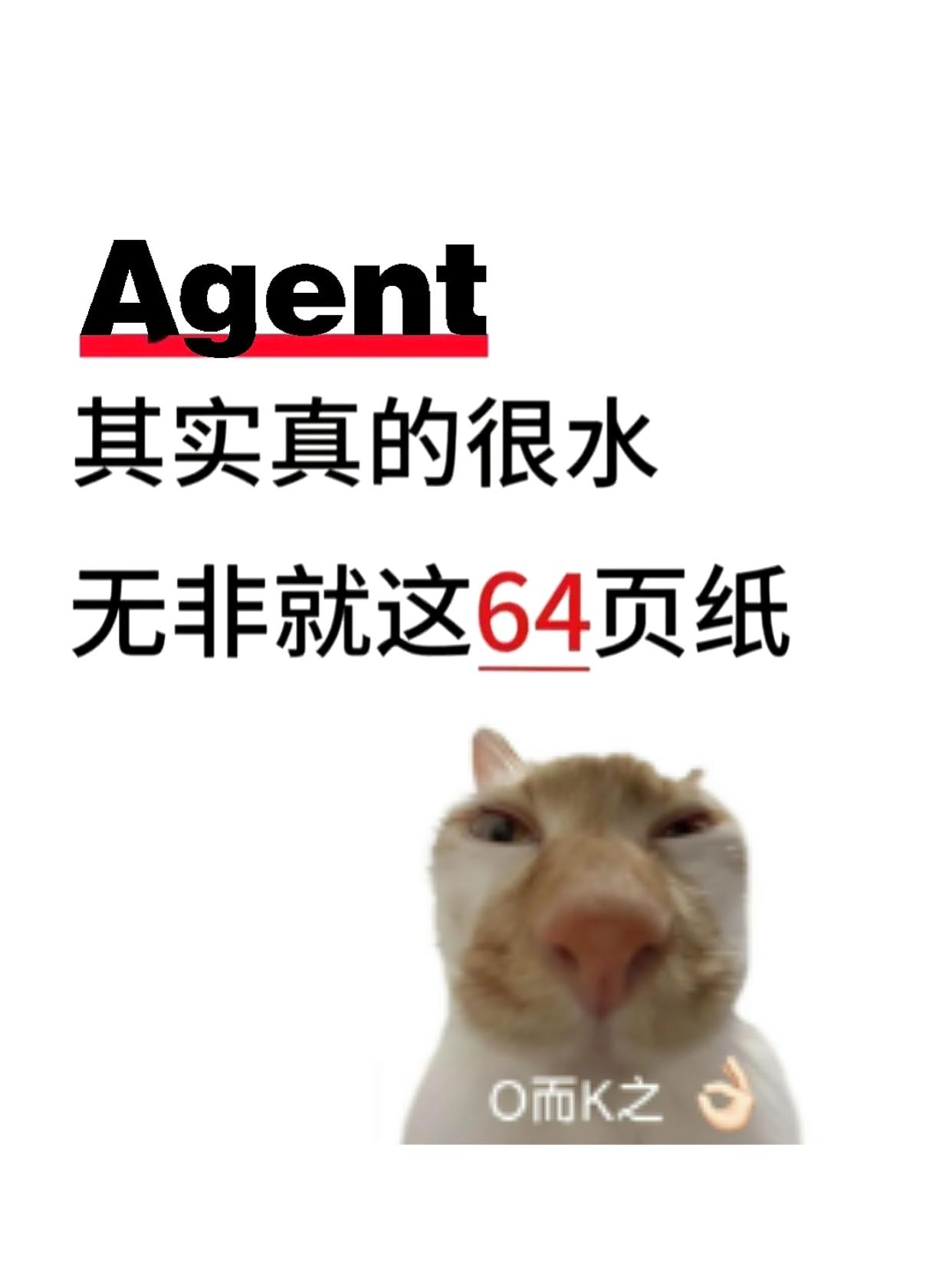 🥱Agent其实真的很水，无非就这64页纸！程序员ai微调大型语言模型