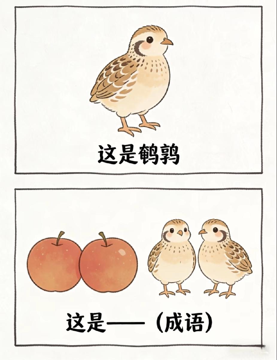  苹果配鹌鹑，藏着什么成语？90%的人猜错！