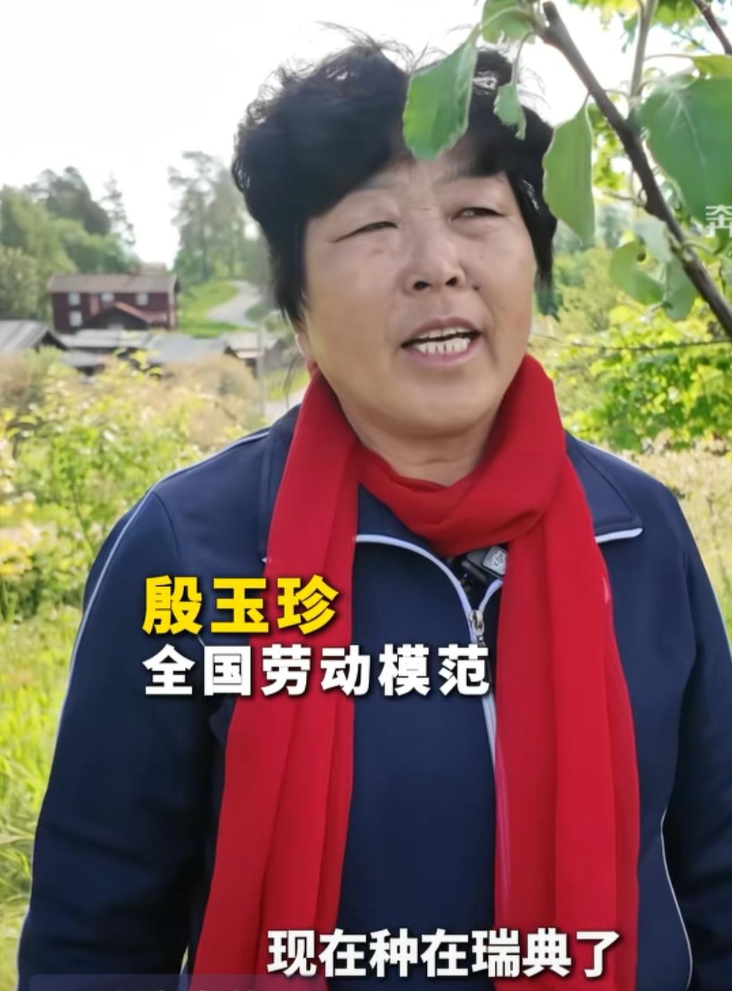 把毛乌素的绿色荣光带到瑞典。这份荣光国人喜爱！全国劳模殷玉珍女士受邀远赴瑞典