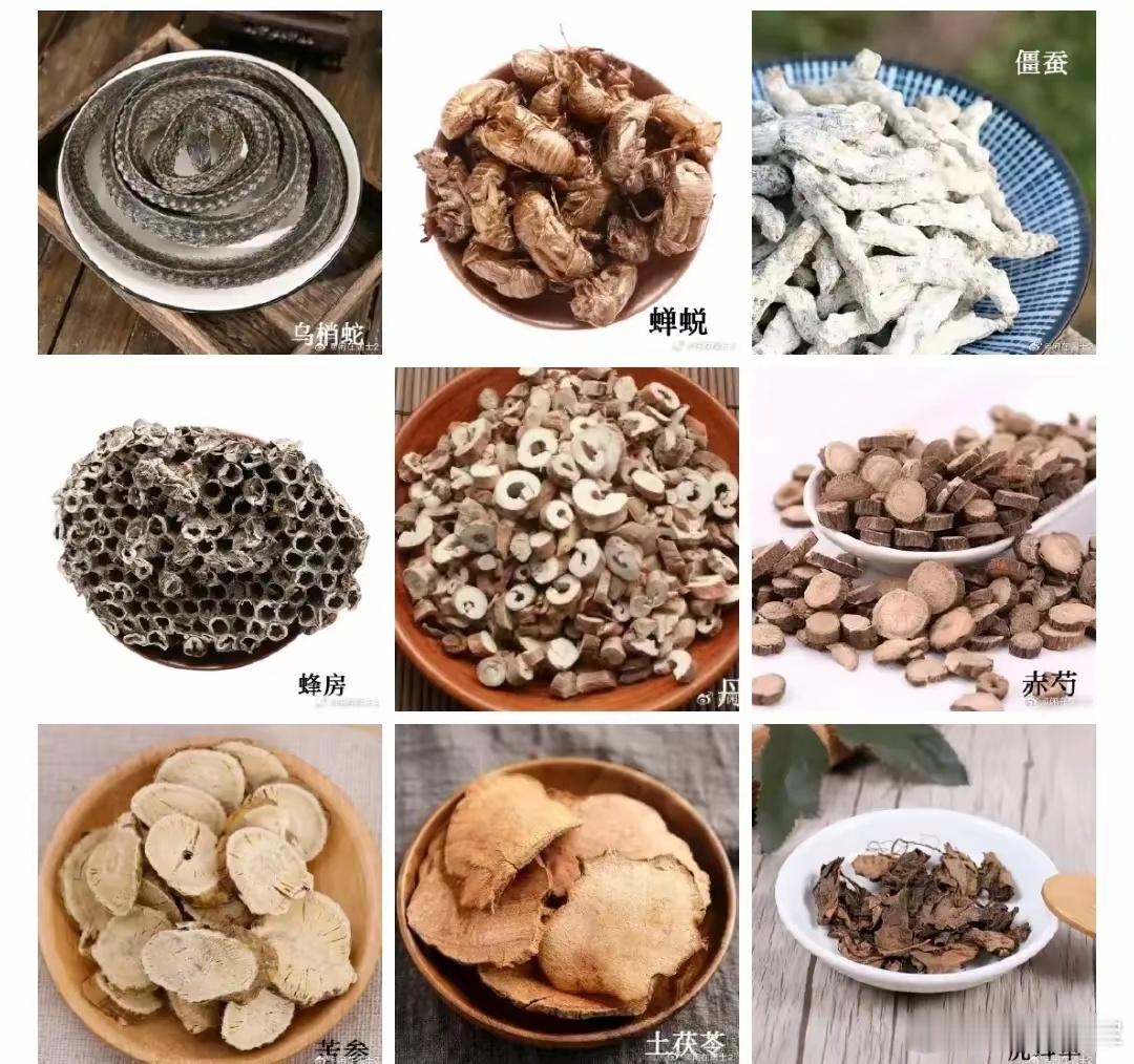 乌蛇蝉衣汤加减，治疗九种皮肤病，效如桴鼓！乌蛇蝉衣汤是在验方乌蛇败毒散的基础上，