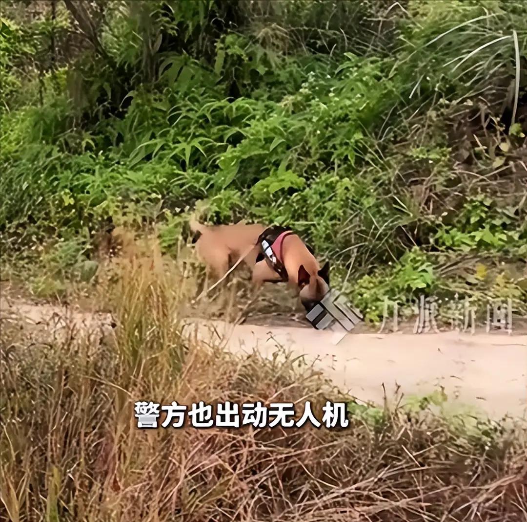 四川26岁男子离世：初三去奶奶坟前，遗体距家不远，手机留着遗言。大年初三，那段