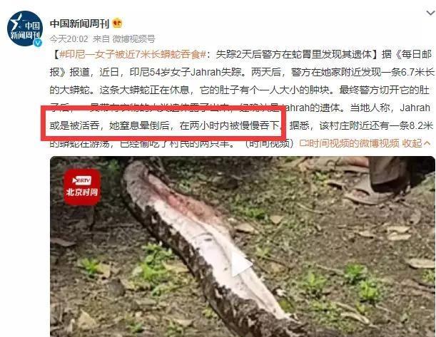 印度尼西亚一名54岁的妇女失踪两天后，人们在蛇肚子里找到了她！2024年初的一