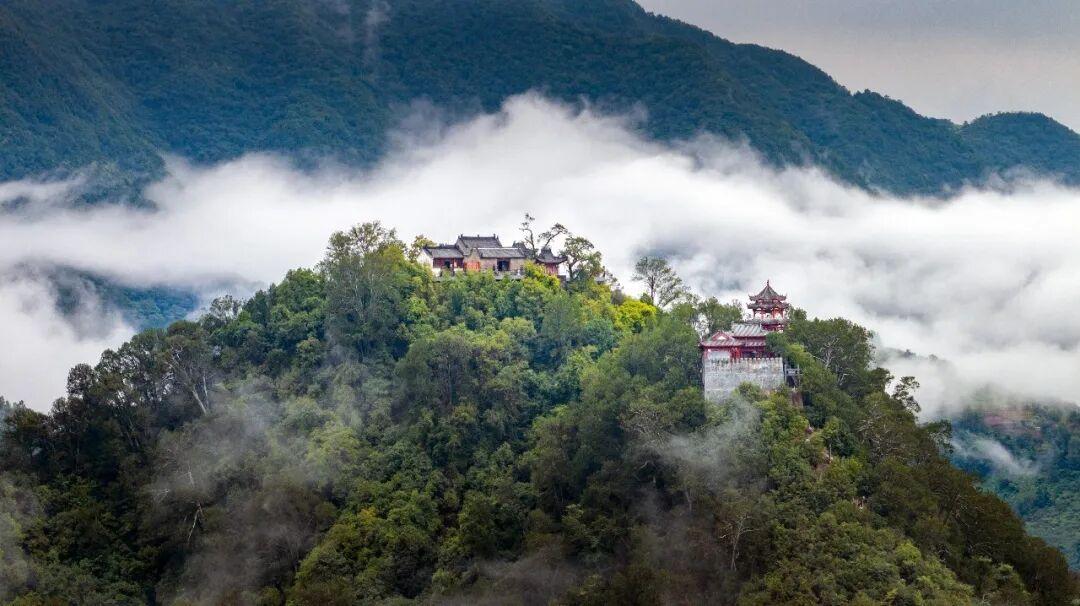 【西乡樱桃红了！】恰逢陕西省西乡樱桃沟最美味的时节。🍒小樱桃最佳品尝期：4月