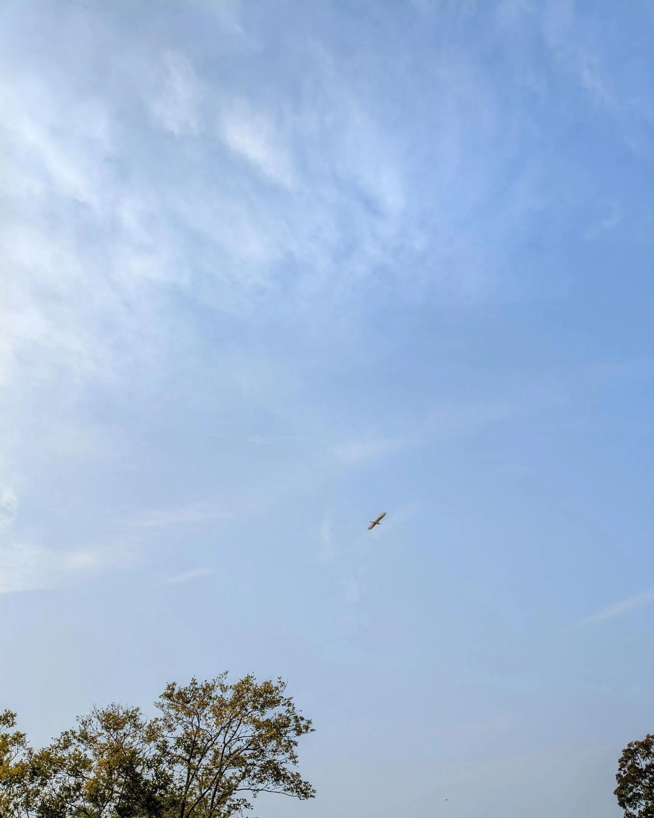 这张铝箔比头发丝还薄——只有0.006毫米！就在‘中国铝都’山东滨州，魏桥牵头干