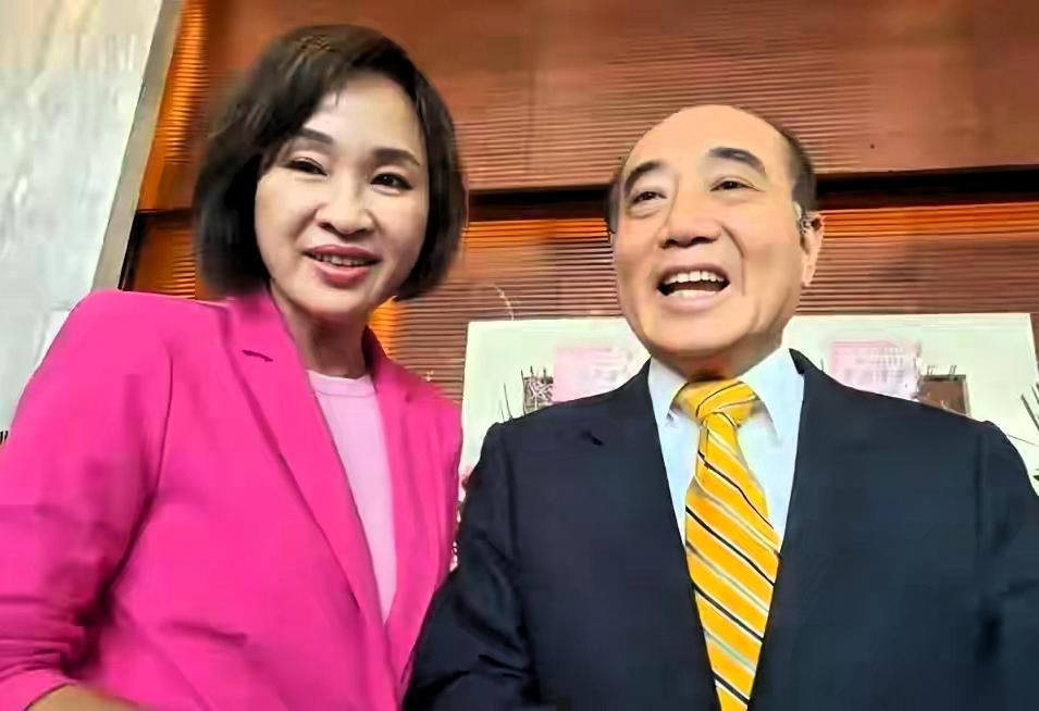 3万人齐聚凤山！王金平坐镇高雄大造势，蒋万安、李四川同台力挺前言2026