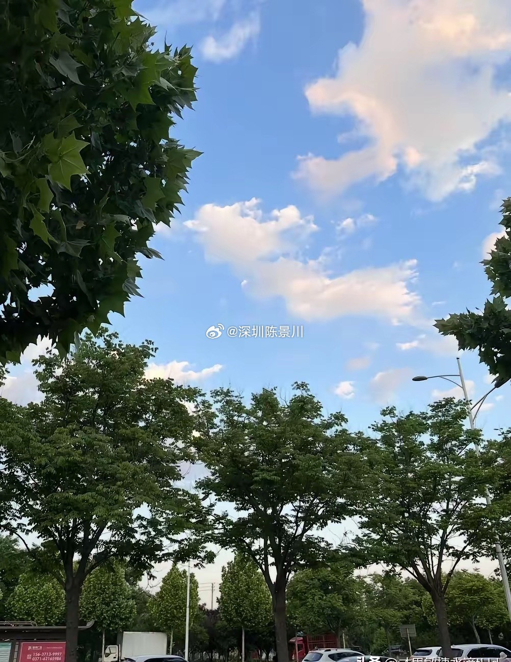 三伏天千万不要过度锻炼我邻居今年57岁了，他每天早上都会去楼下跑步，坚持三公里，