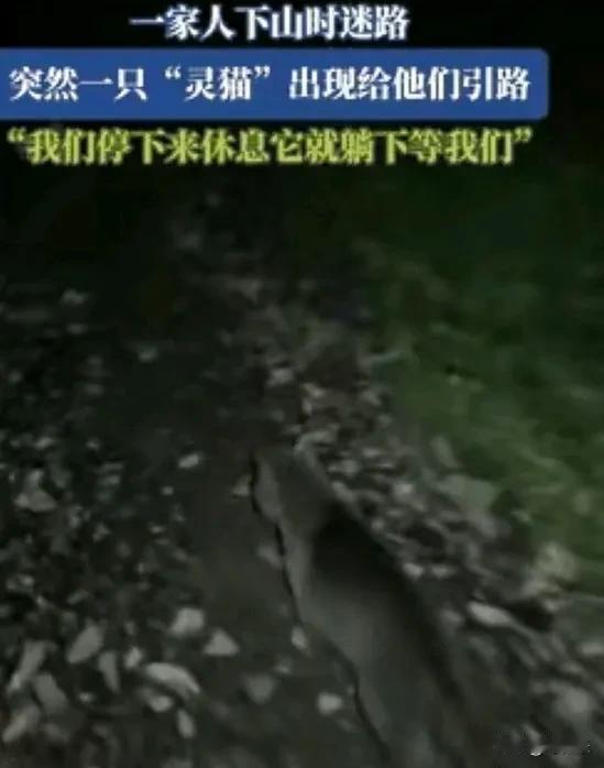“科学解释不了！”黑龙江一家子心血来潮去爬山，结果迷了路，天黑还在山里打转。就在