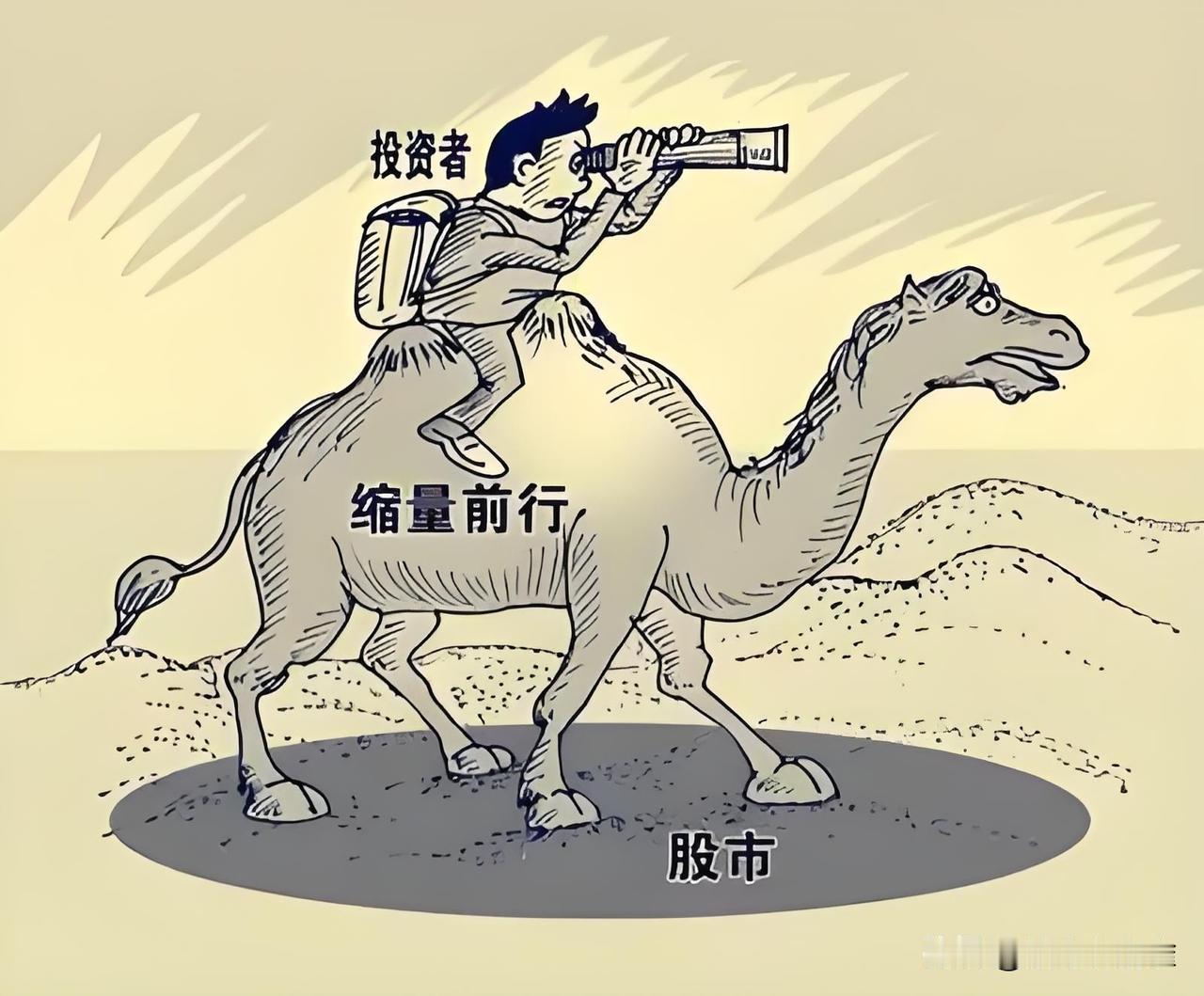 一位账户过千万的老股民每年稳稳赚，靠的不是神预测，而是三个“怂”字诀第一，永