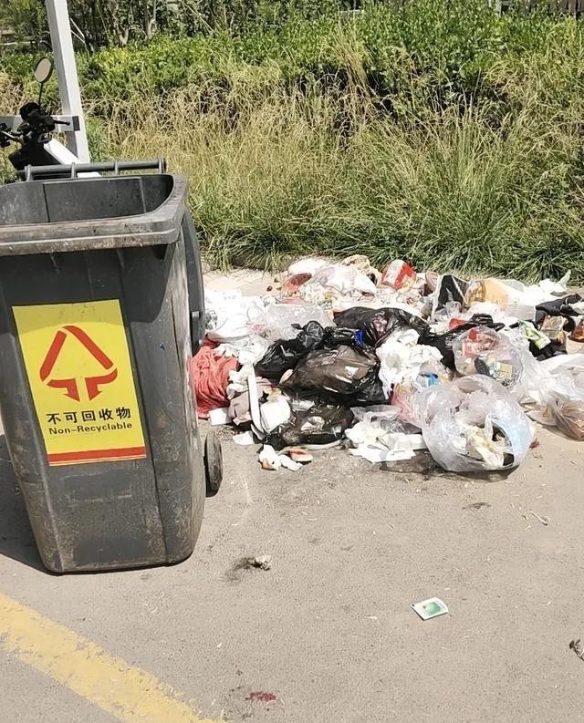 物业跑路了！7月1号开始电梯停了，垃圾没人收，污水满地流，小区大门敞着没人管。我