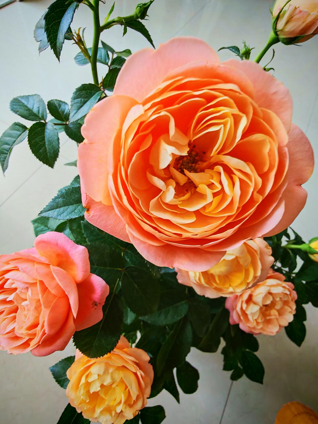 太扎心房贷6年，我好像白干了…2019年贷了51万，利率5.88%，当时觉