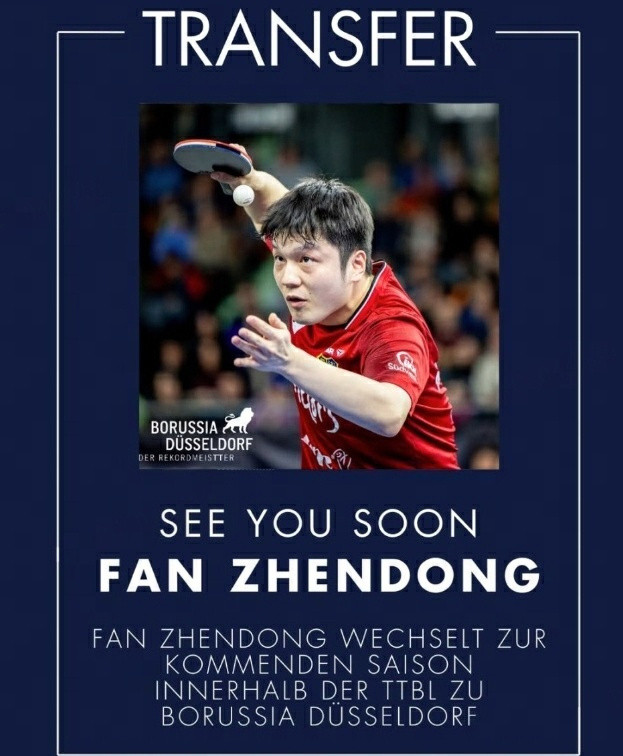 樊振东与波尔的约定实现了樊振东下赛季加盟杜塞尔多夫波尔曾说：我和樊振东的关系一直