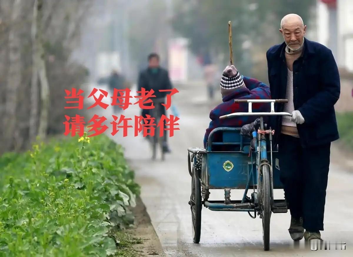 农村老人的晚年：没存款、病了扛，守着空房子熬日子，谁懂他们的难？刷到太多城