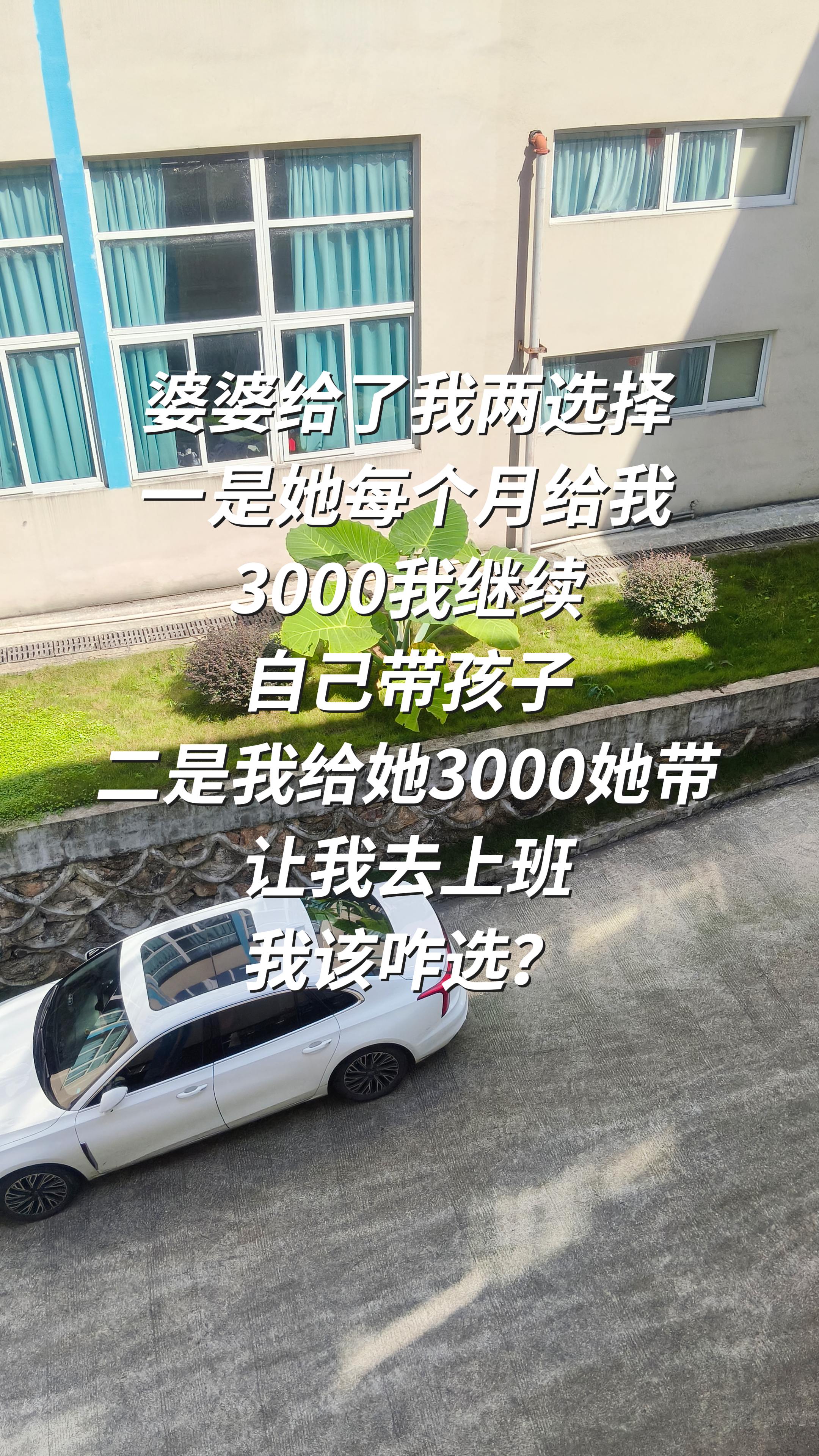 婆媳相处关系