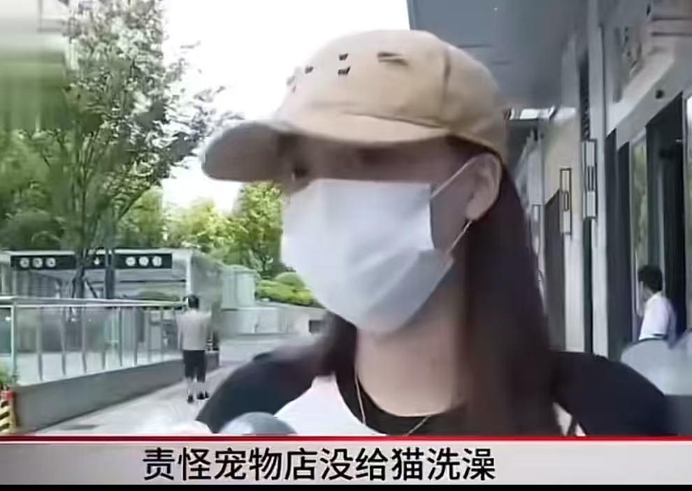 看得来气！好心免费托管猫咪反被索赔，女子反倒带调解员上门追责，甚至开口索要赔偿，