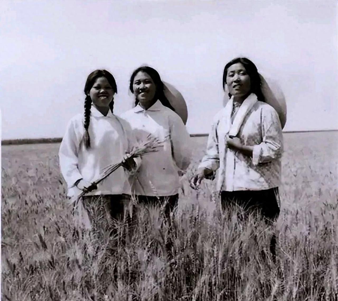 1969年，19岁的女知青黄丽萍，隐瞒自己显赫的身份，心甘情愿的在北大荒劳动。1