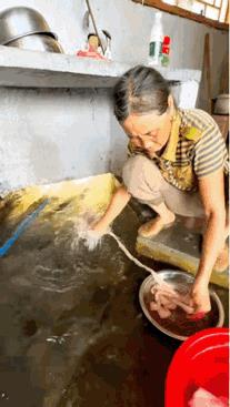 能把这么好的水源引到家里真让人羡慕啊