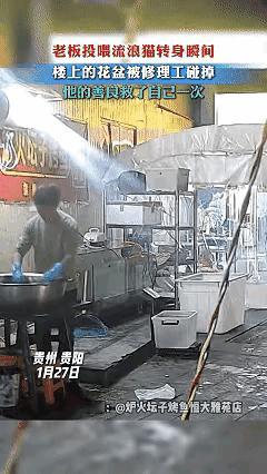 贵阳老板投喂流浪猫竟躲过夺命花盆！这哪里是猫救了人，分明是