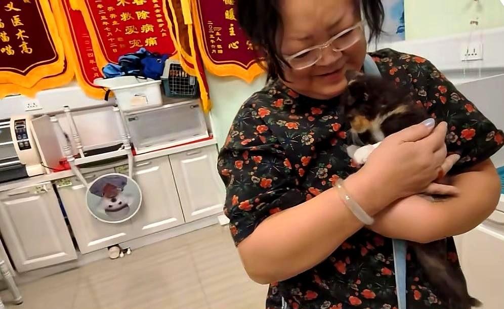 岚姨和婆婆的对话，在不知情的情况下，86岁的婆婆和儿子在私底下商量说，不在木屋过