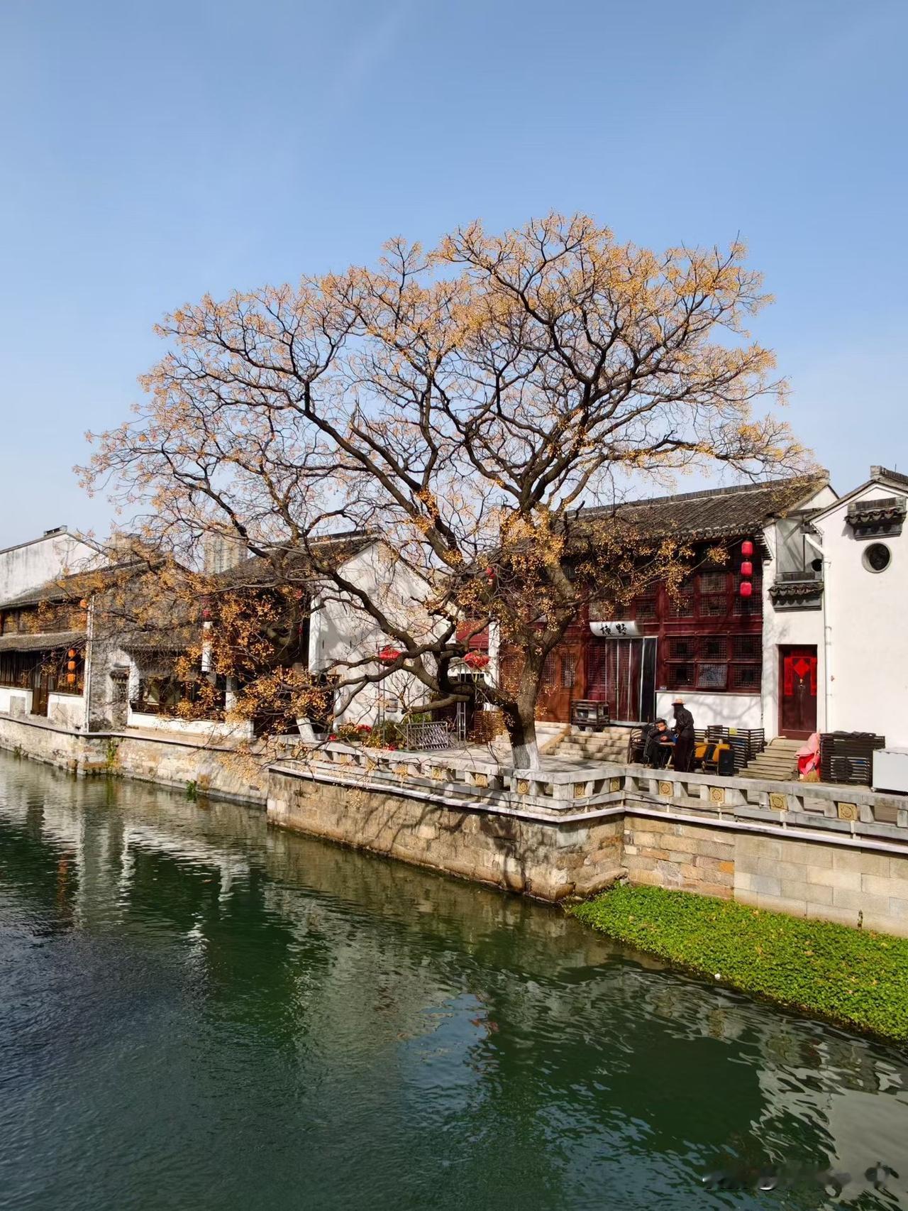 【昨日客流】2月24日（周二）武汉城市轨道交通线网客运量（含换乘）为376万